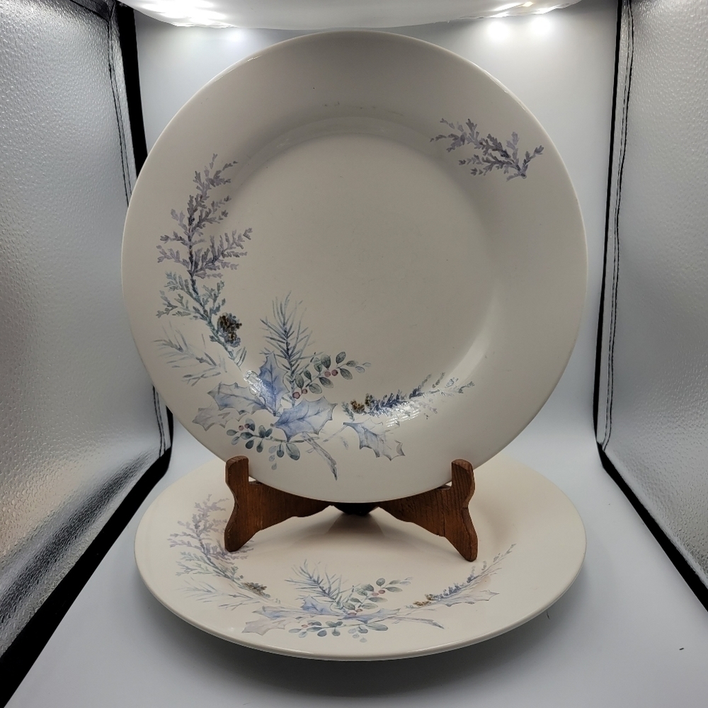Pfaltzgraff Winter Garden Dinner Plates - set of 2